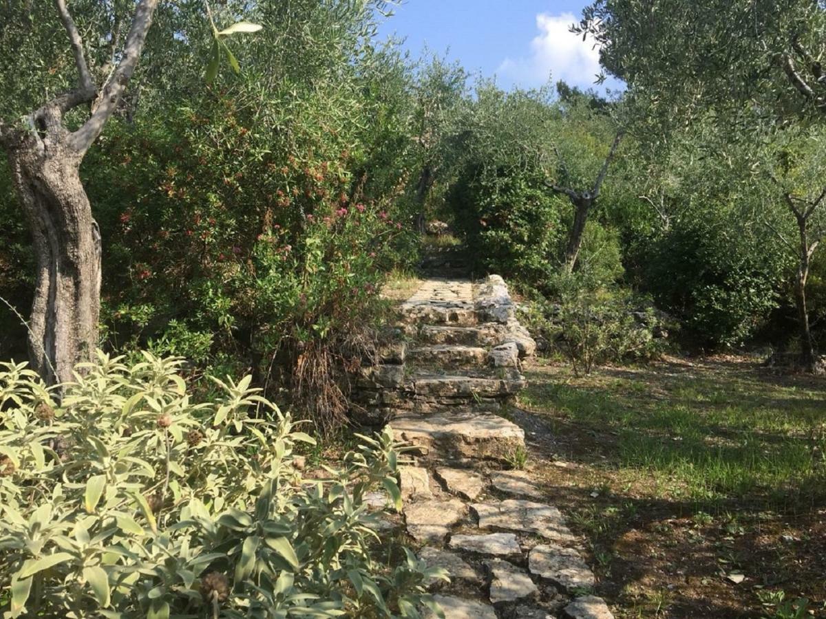 Villa Percy Lubbock La Spezia Ngoại thất bức ảnh